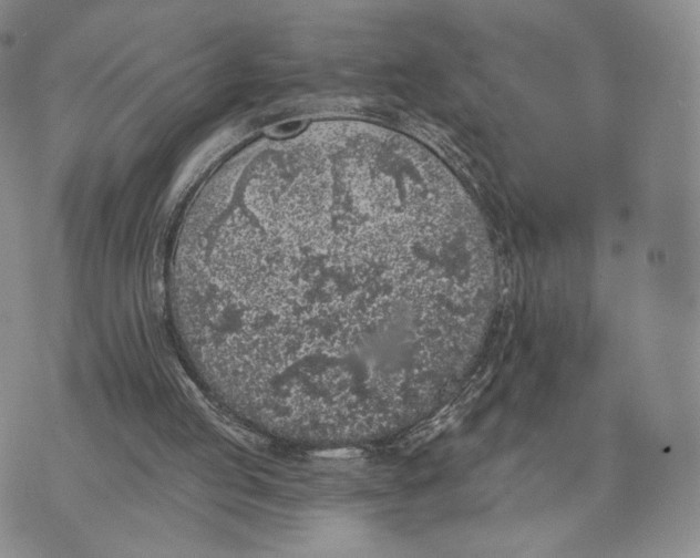 X0000074260053200609151811