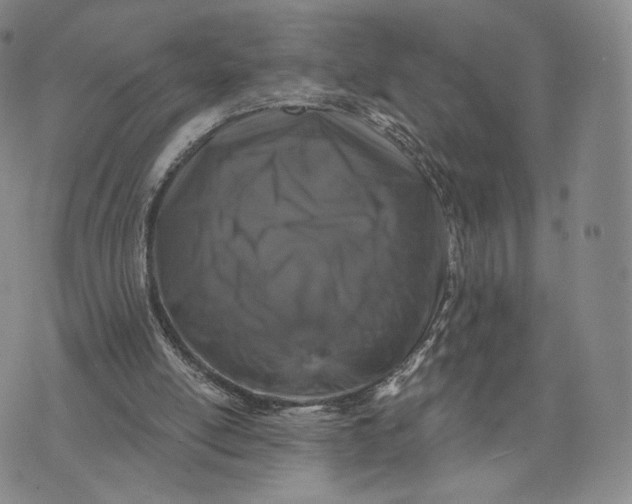 X0000074260054200609151811