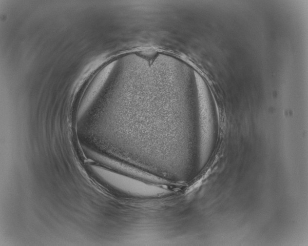 X0000074260055200609151811