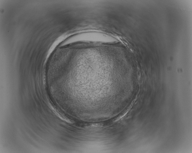 X0000074260056200609151811