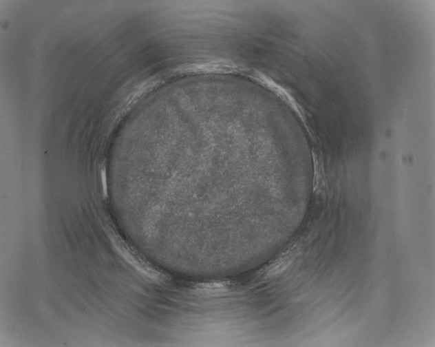 X0000074260061200609151811