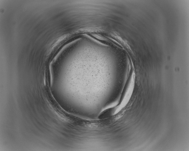 X0000074260062200609151811