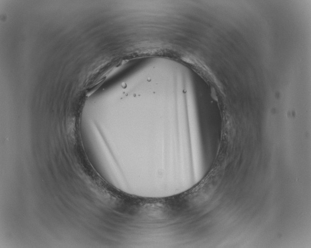 X0000074260066200609151812