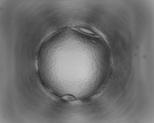 X0000074260067200609151812