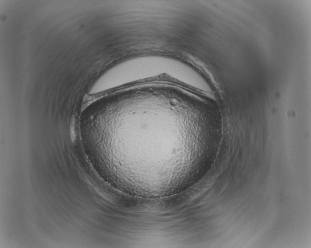 X0000074260069200609151812