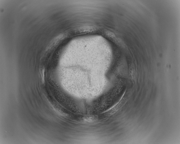 X0000074260070200609151812