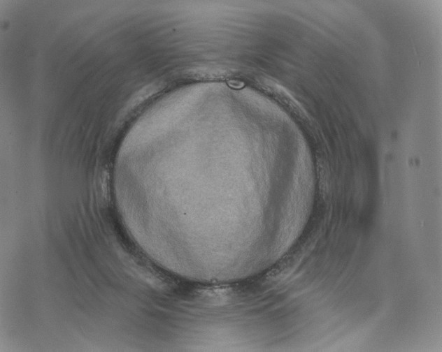 X0000074260071200609151812