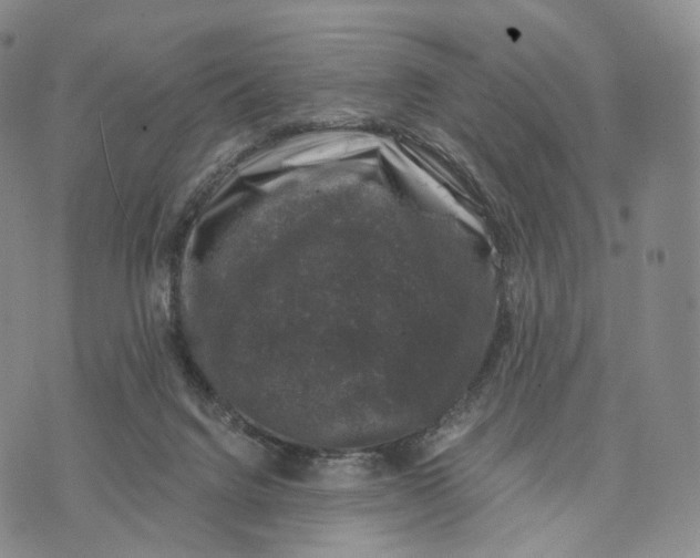 X0000074260072200609151812