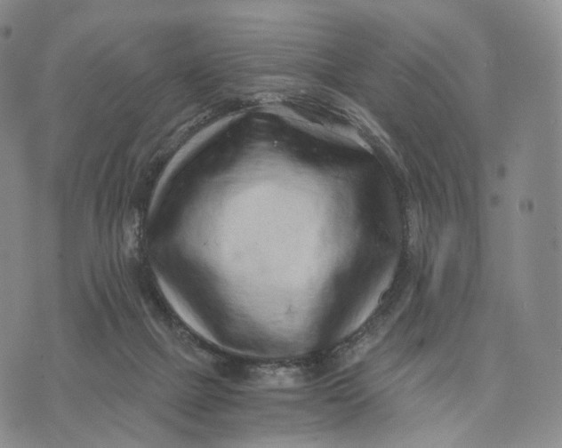 X0000074260073200609151812