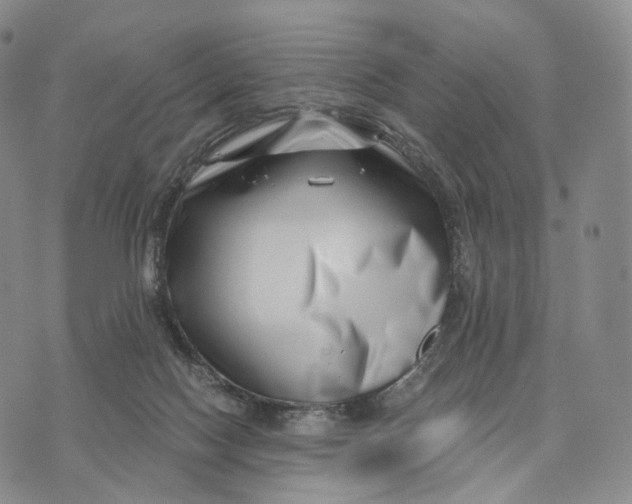 X0000074260074200609151812