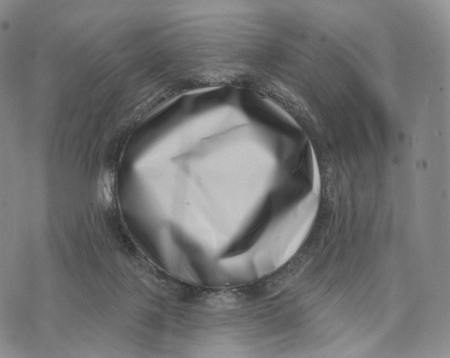 X0000074260075200609151812