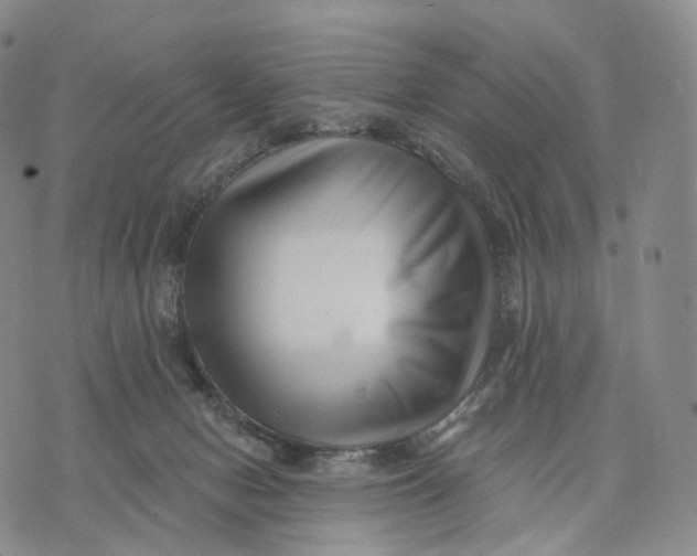 X0000074260078200609151812