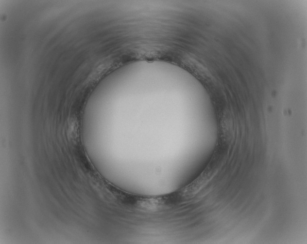 X0000074260079200609151812