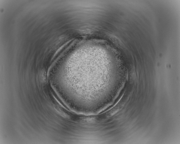 X0000074260081200609151812