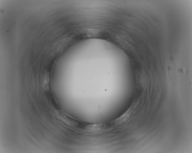 X0000074260082200609151812