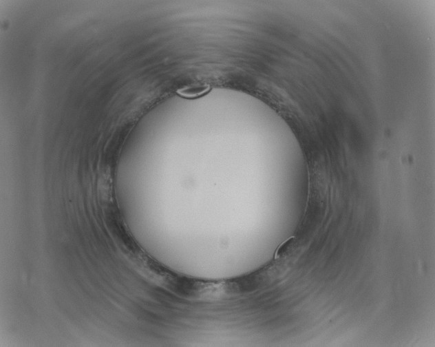 X0000074260083200609151812