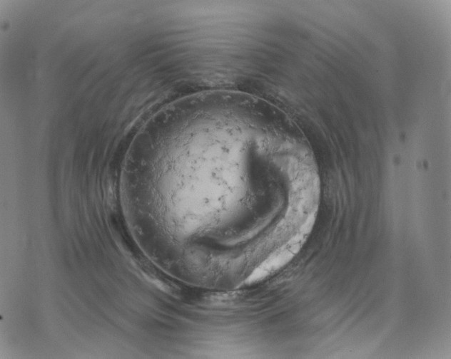 X0000074260084200609151812