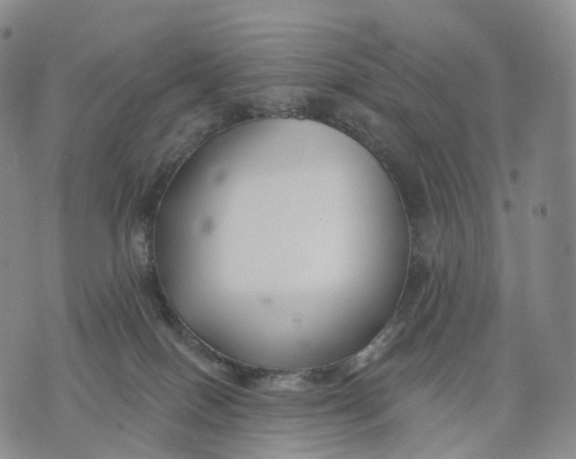 X0000074260086200609151812