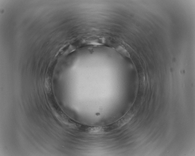 X0000074260088200609151812