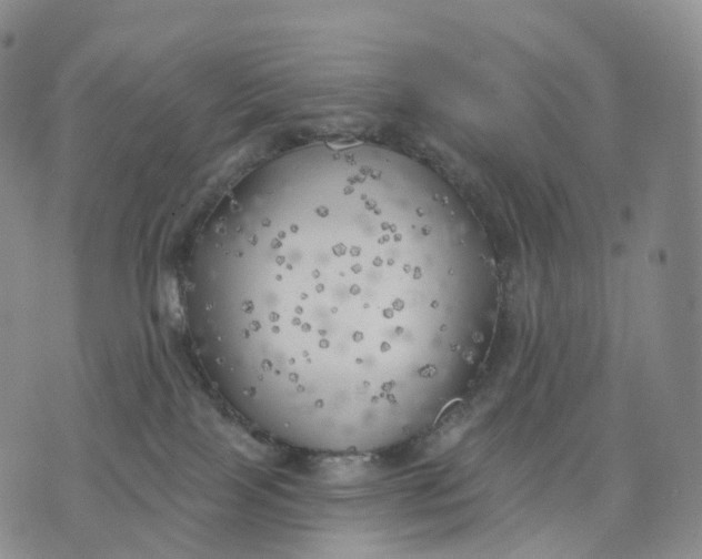 X0000074260089200609151812