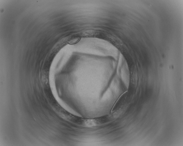 X0000074260091200609151812