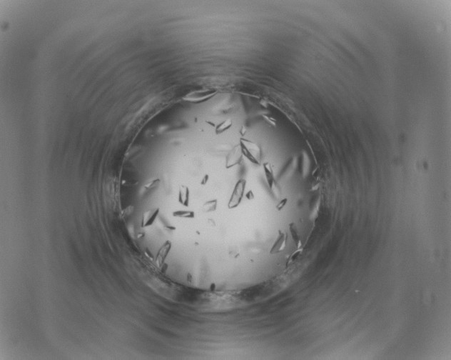 X0000074260093200609151812