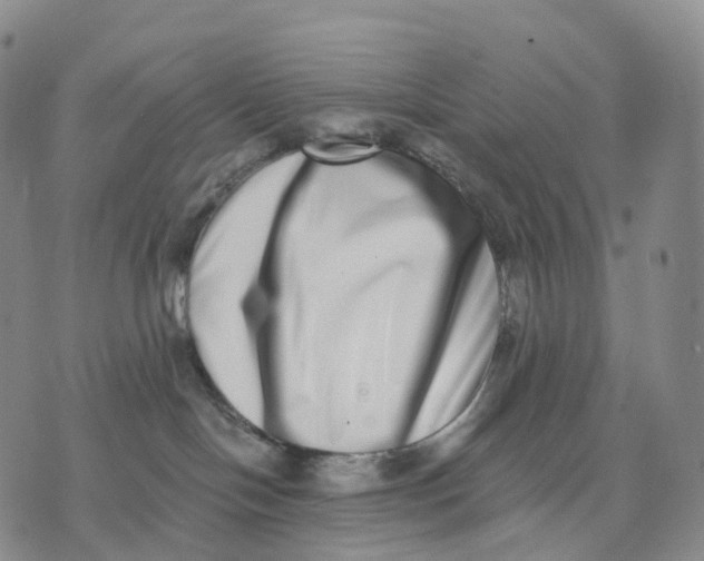 X0000074260094200609151812