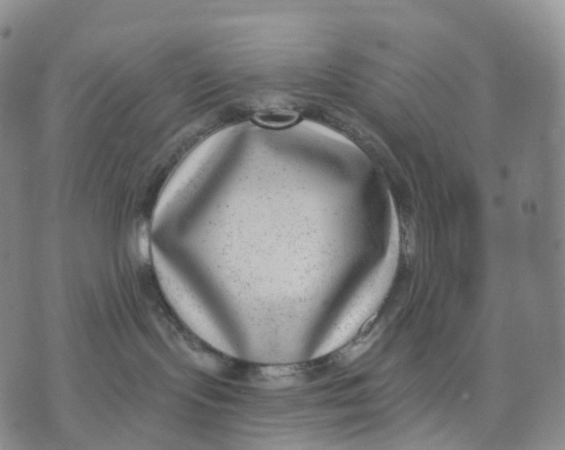 X0000074260095200609151812