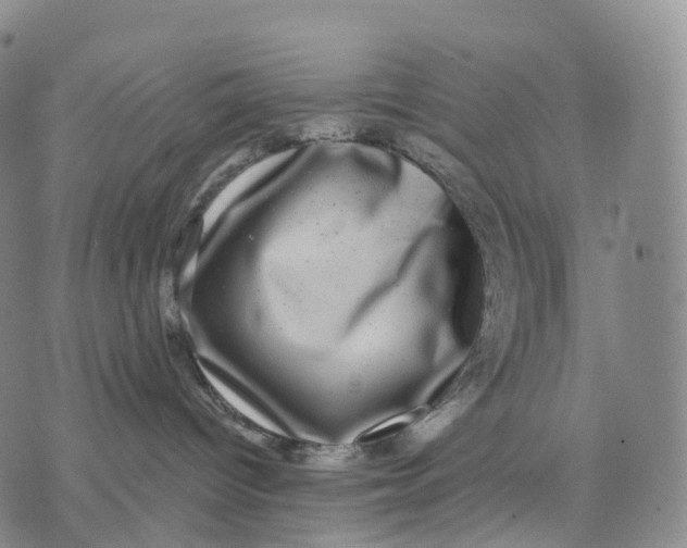 X0000074260096200609151812