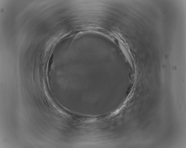 X0000074260097200609151811