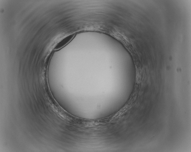 X0000074260098200609151811