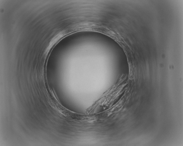 X0000074260099200609151811