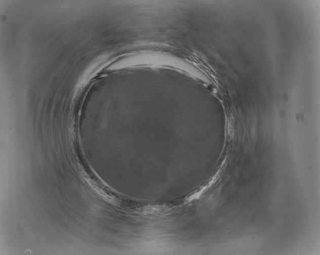 X0000074260101200609151811