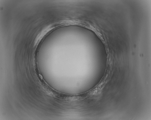 X0000074260103200609151811