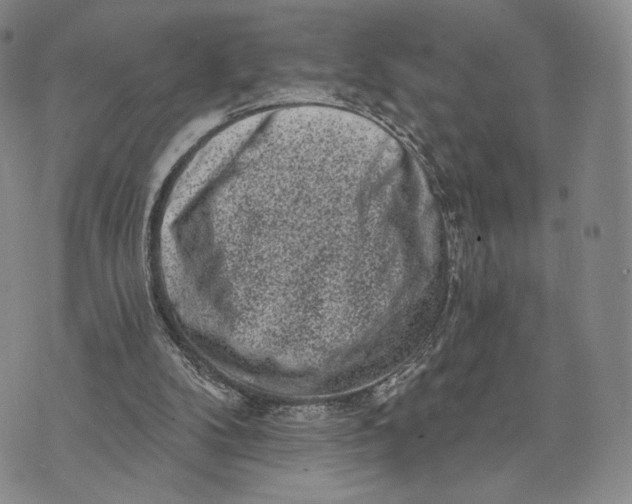 X0000074260104200609151811