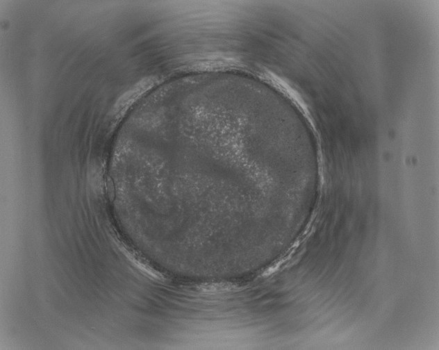 X0000074260105200609151811