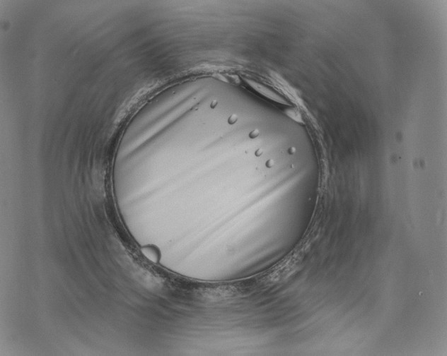 X0000074260106200609151811