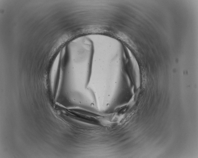 X0000074260111200609151811