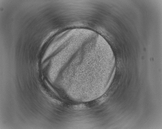 X0000074260112200609151811