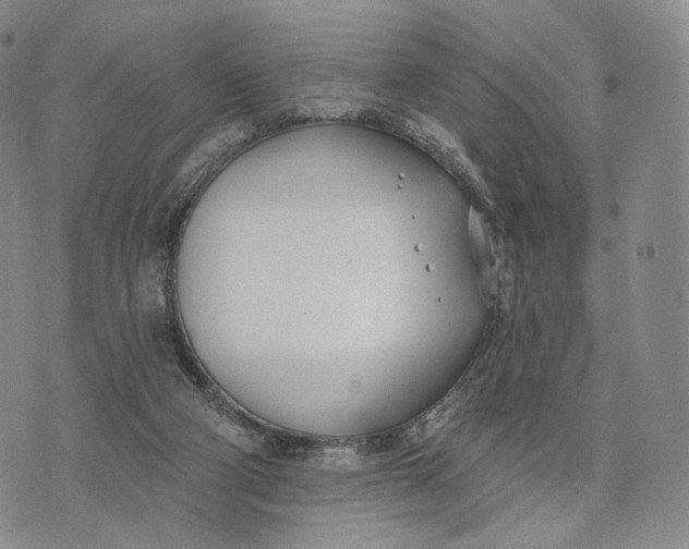 X0000074260114200609151811