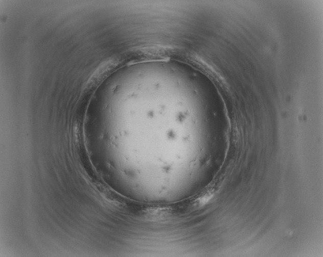 X0000074260117200609151811