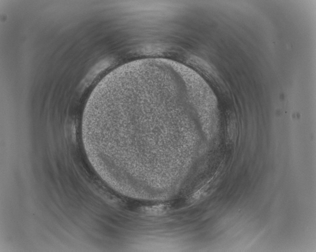 X0000074260120200609151811