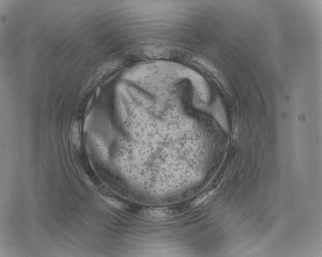 X0000074260121200609151811