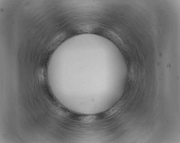 X0000074260122200609151811