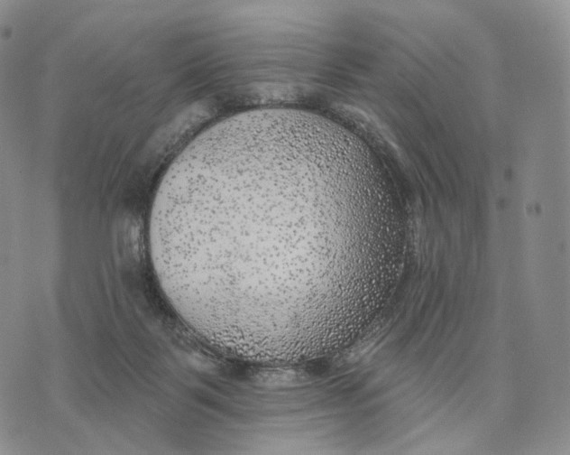 X0000074260123200609151811