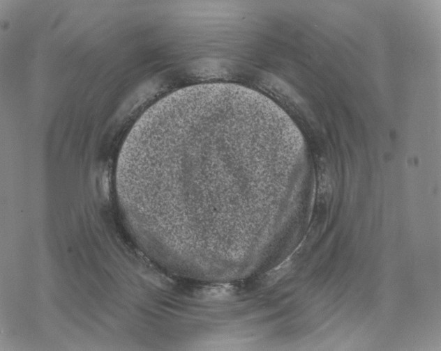 X0000074260124200609151811