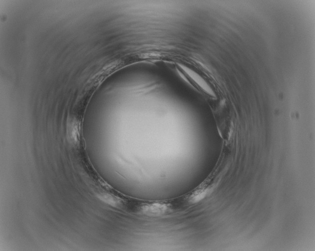 X0000074260125200609151811