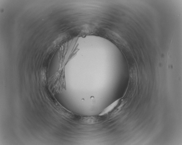 X0000074260127200609151811