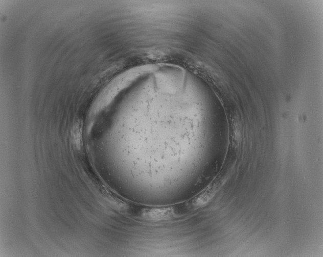 X0000074260129200609151811