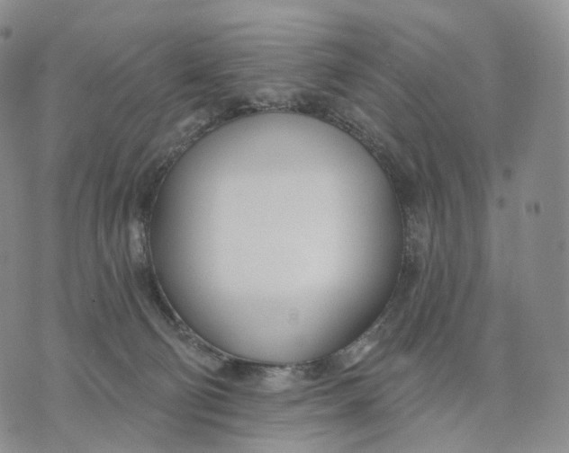 X0000074260130200609151811